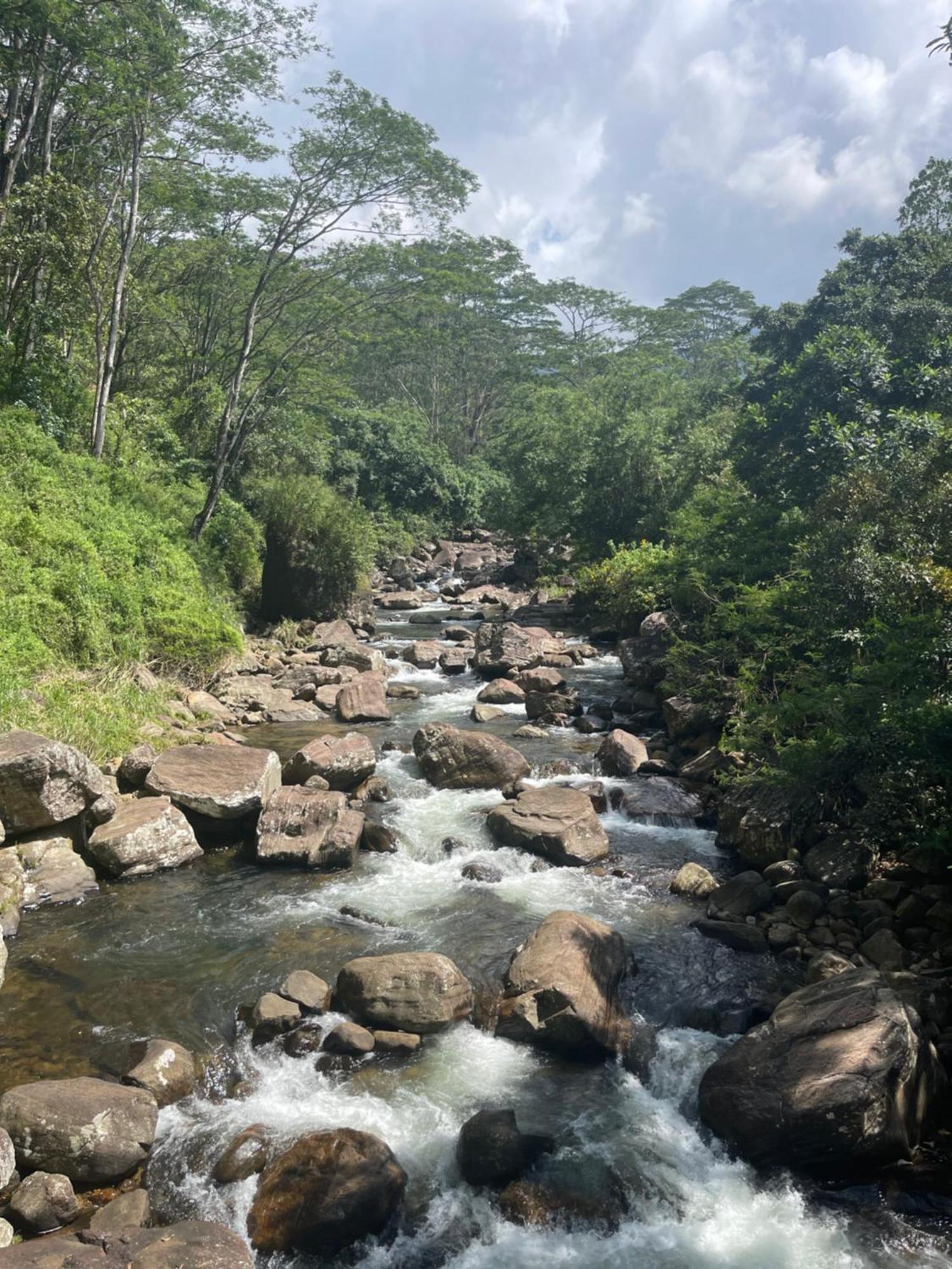 Eagles Lodge - Kandy Digana Eksteriør bilde