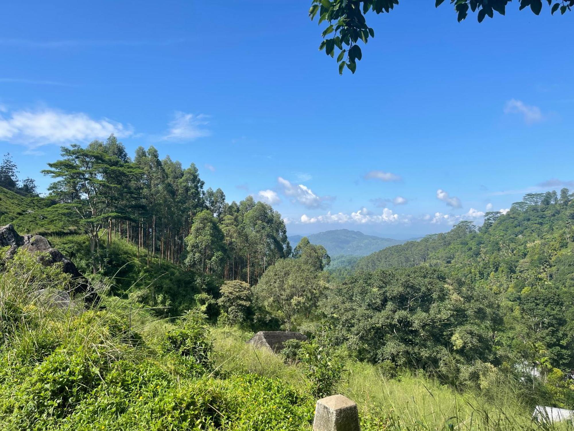 Eagles Lodge - Kandy Digana Eksteriør bilde